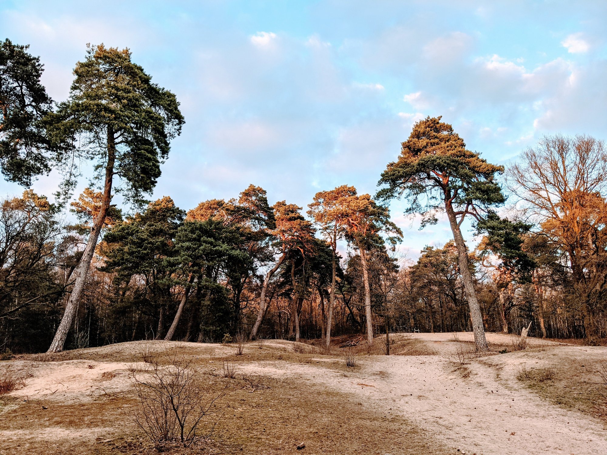 Vergaderen op de Veluwe in Gelderland