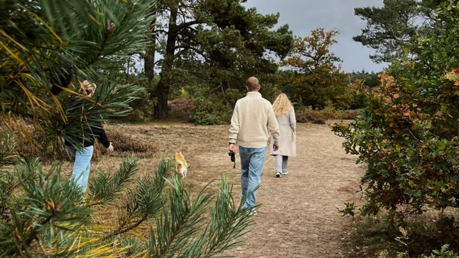 Trainingslocatie bij het bos