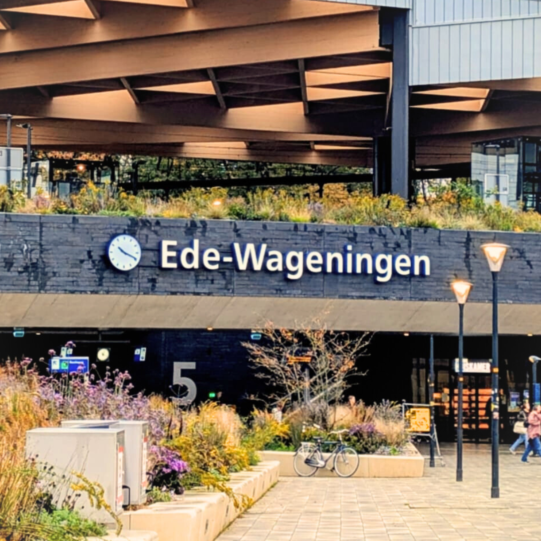 Ede Wageningen (2)
